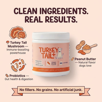 TurkeyTail+ Probiotics - No more lumps