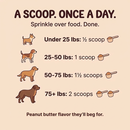 TurkeyTail+ Probiotics - No more lumps